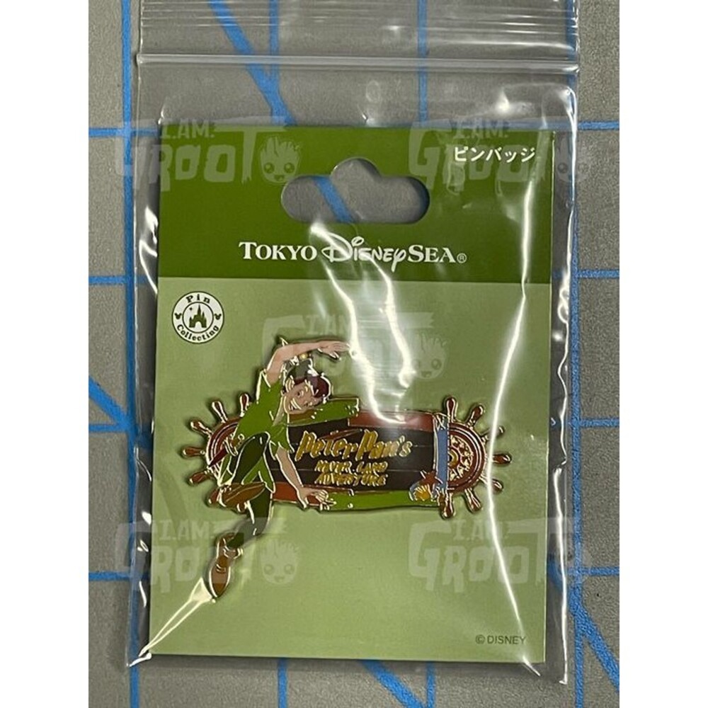 Tokyo Disney Resort Sea Peter Pan's Never Land Adventure Pin USA SELLER B